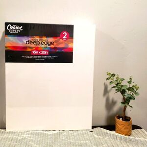 2 Studio canvas 16 X 20